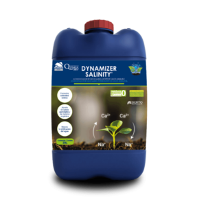 Dynamizer Salinity